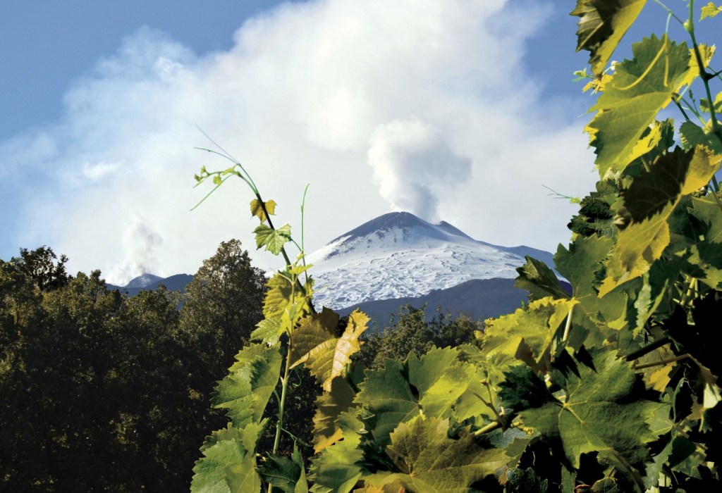 Etna: volcanic wine from the ‘good&nbsp;volcano’!